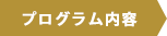 プログラム内容